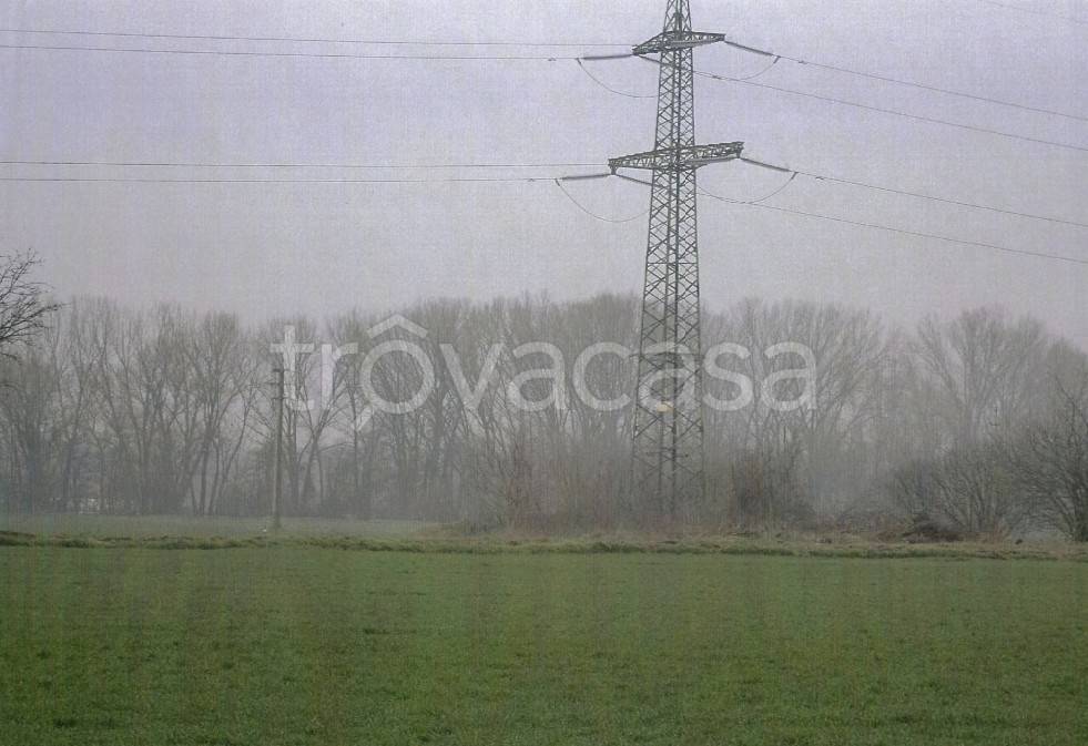 immagine annuncio 5 di 12