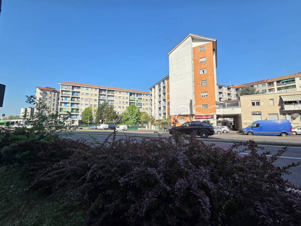 immagine annuncio 11 di 14