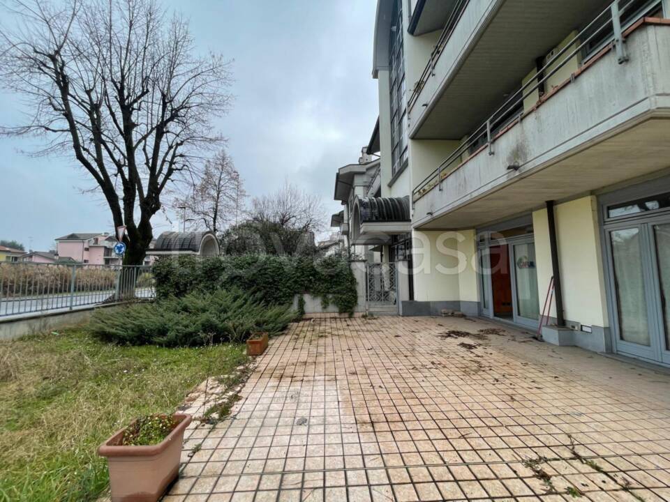 immagine annuncio 2 di 15