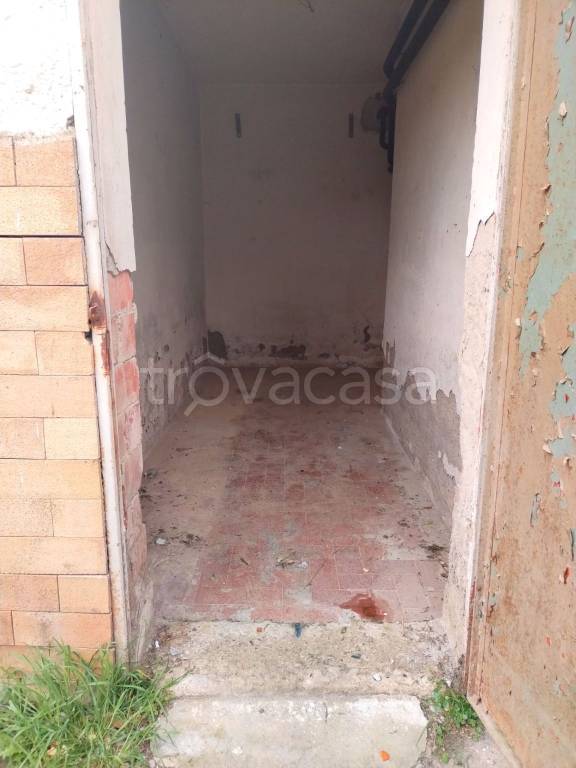 immagine annuncio 12 di 13