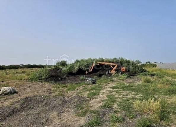 immagine annuncio 3 di 14