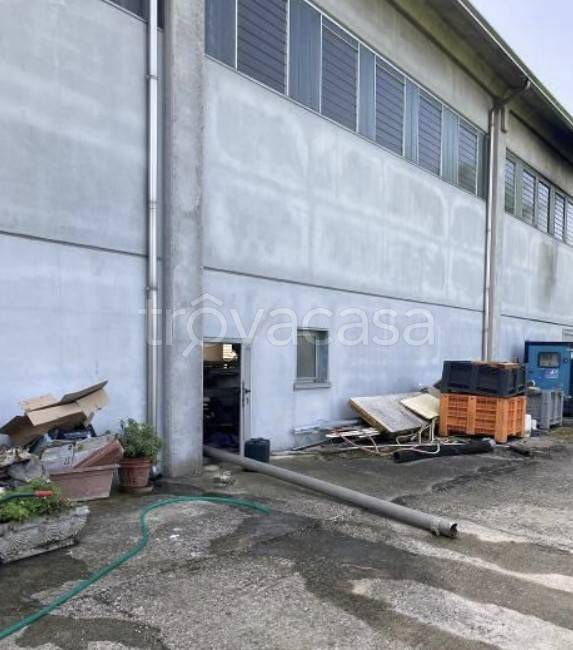 immagine annuncio 6 di 14