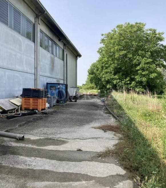 immagine annuncio 7 di 14