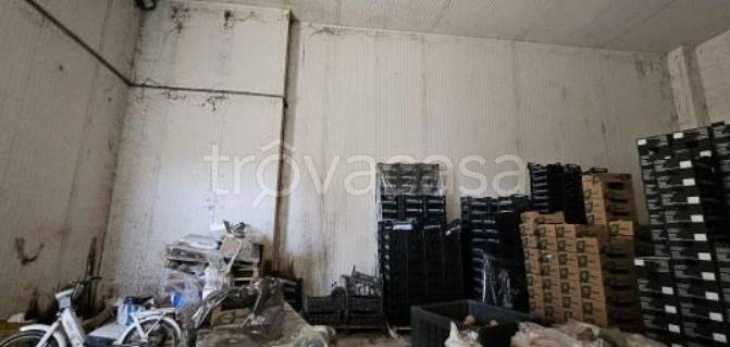 immagine annuncio 8 di 14