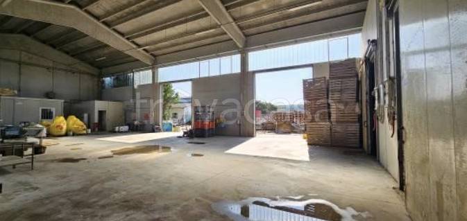 immagine annuncio 9 di 14