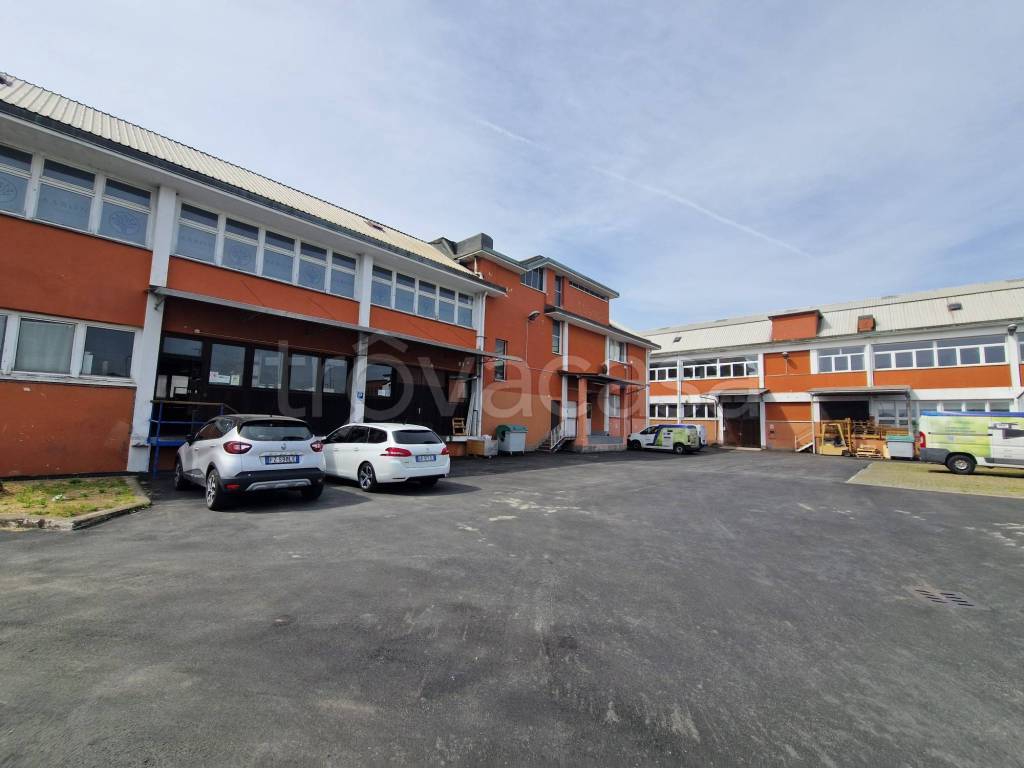 immagine annuncio 1 di 15