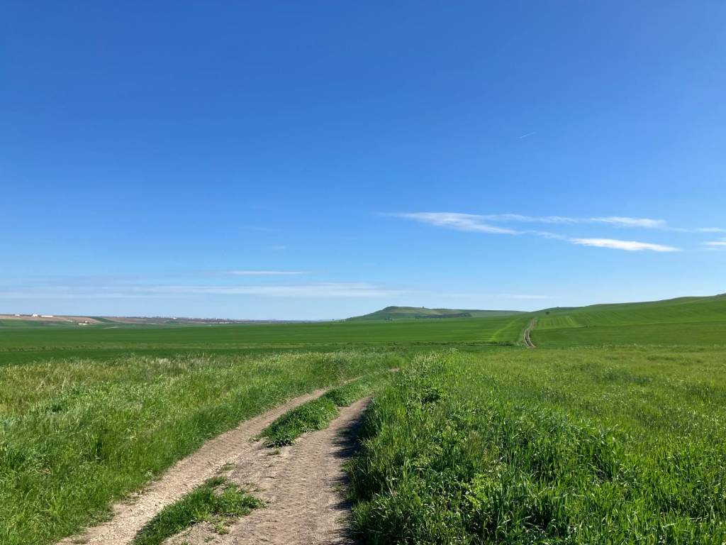 immagine annuncio 8 di 14