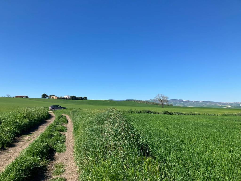 immagine annuncio 9 di 14