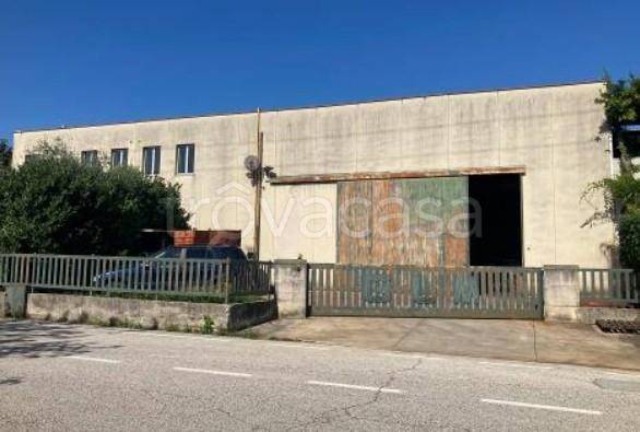 immagine annuncio 2 di 8