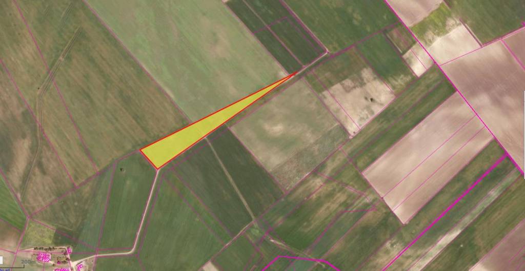 immagine annuncio 6 di 14