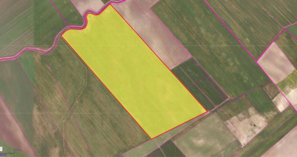 immagine annuncio 3 di 14