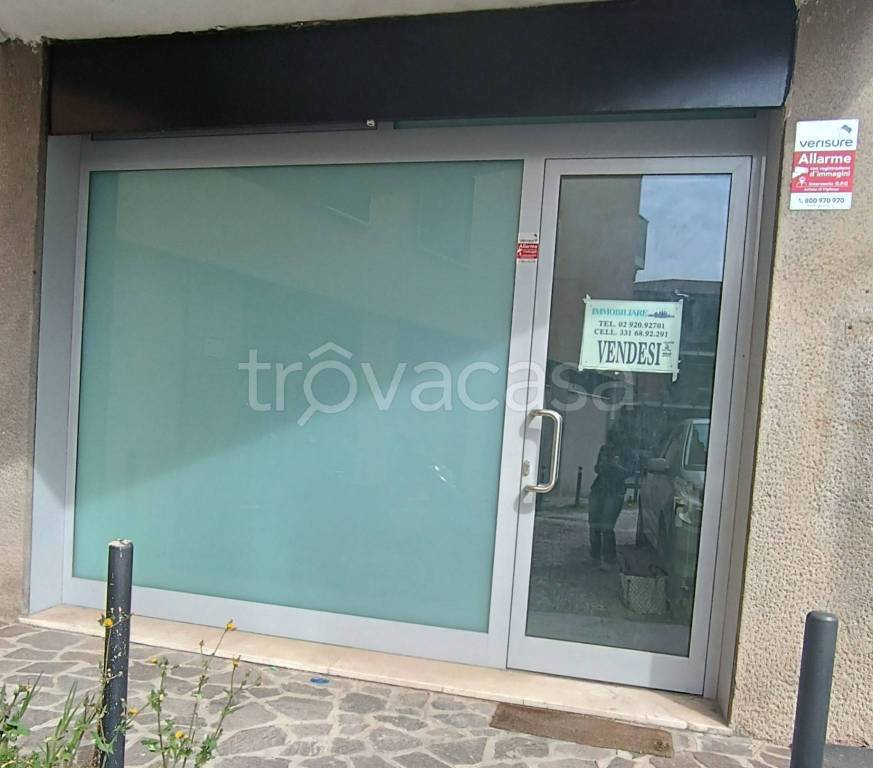 immagine annuncio 13 di 15