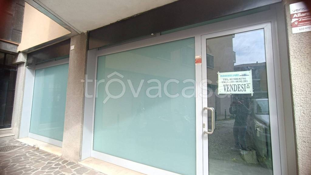 immagine annuncio 14 di 15