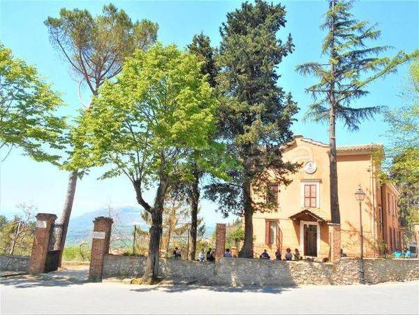 immagine annuncio 12 di 14