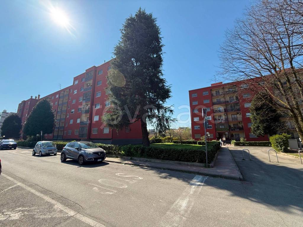 immagine annuncio 1 di 15