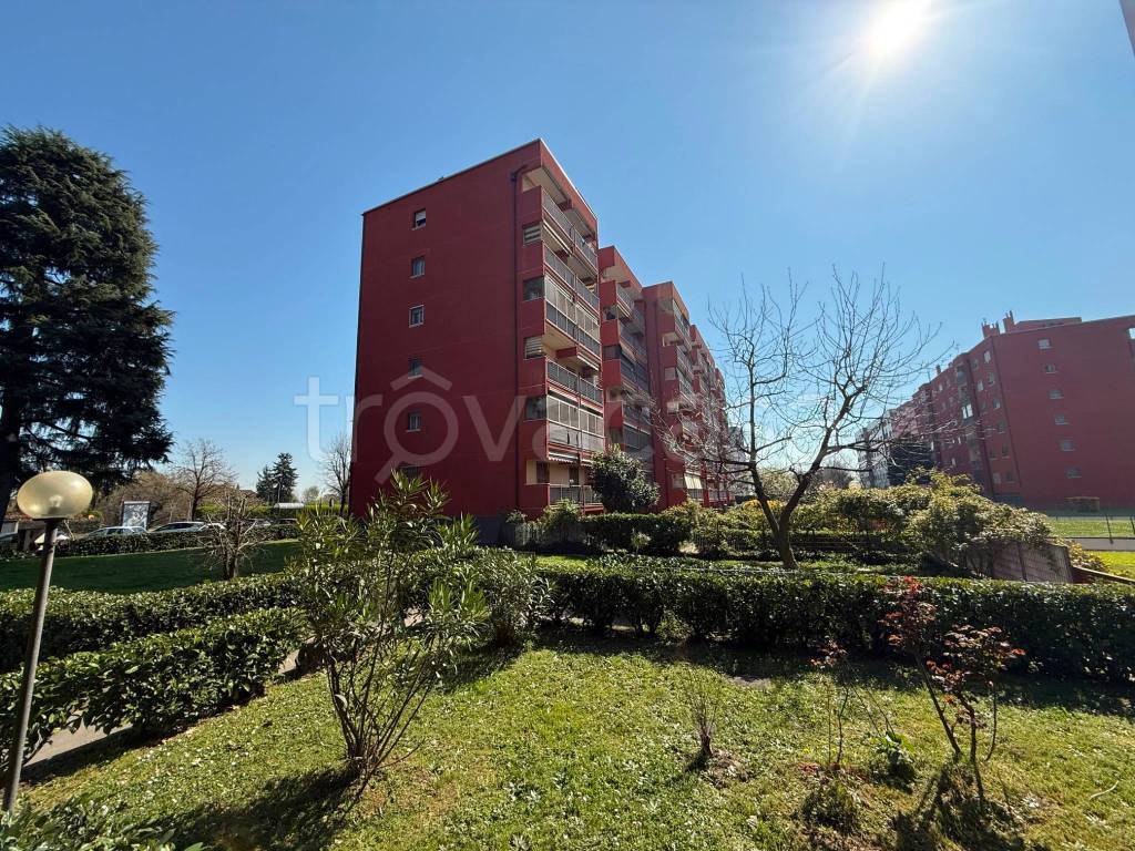 immagine annuncio 3 di 15