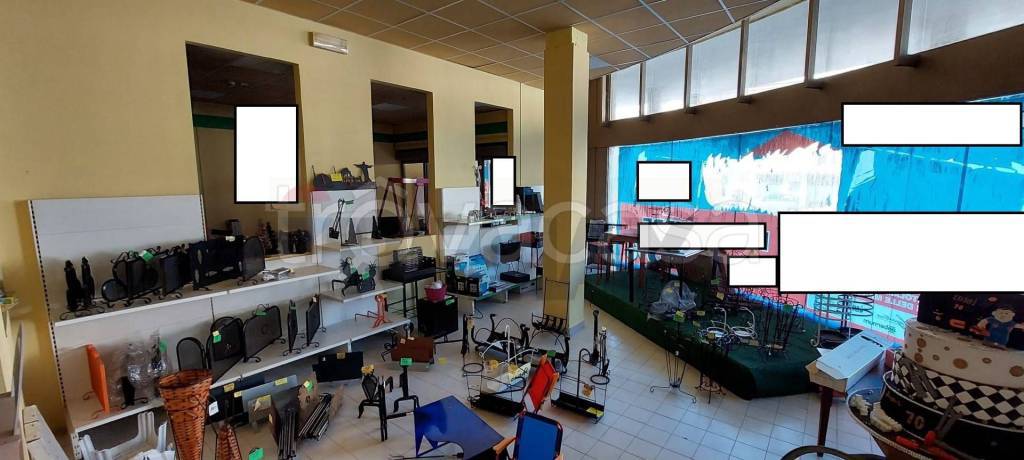 immagine annuncio 3 di 11