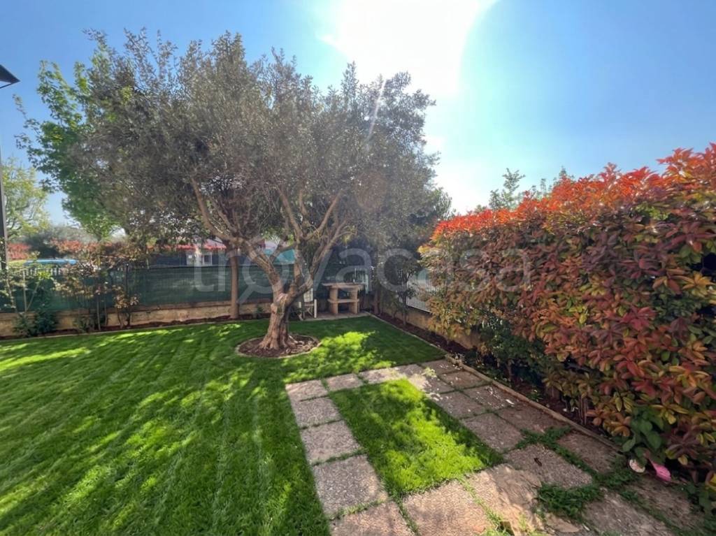 immagine annuncio 7 di 10