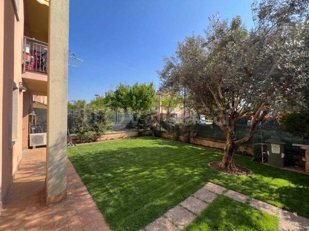 immagine annuncio 9 di 10