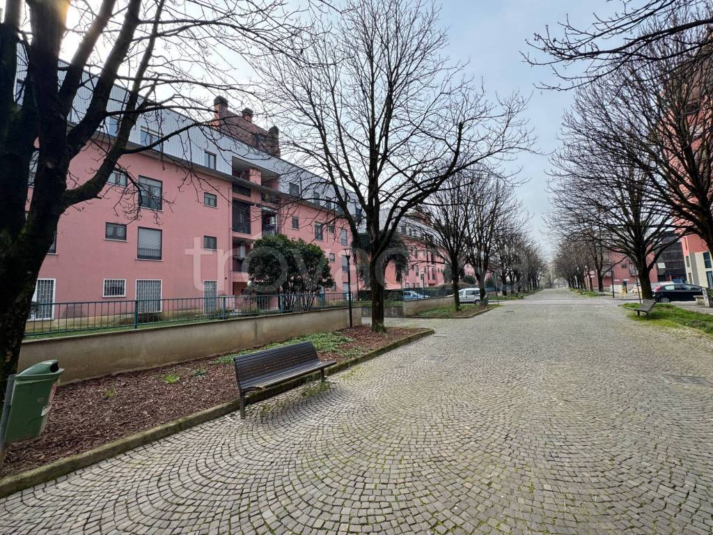 immagine annuncio 1 di 15