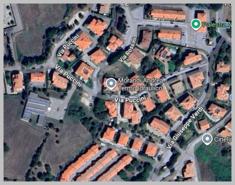 immagine annuncio 11 di 15