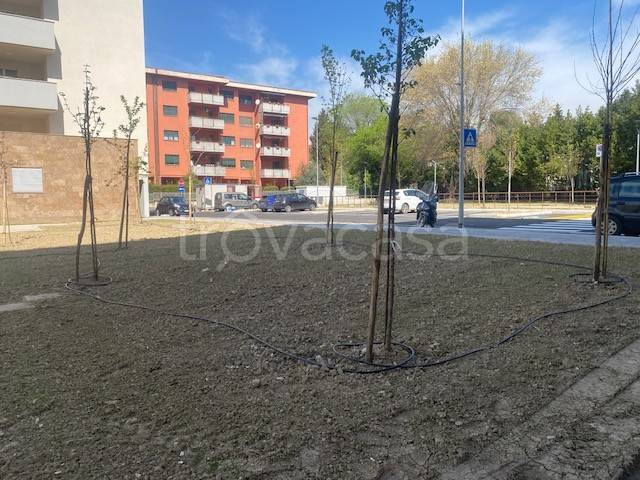 immagine annuncio 8 di 13