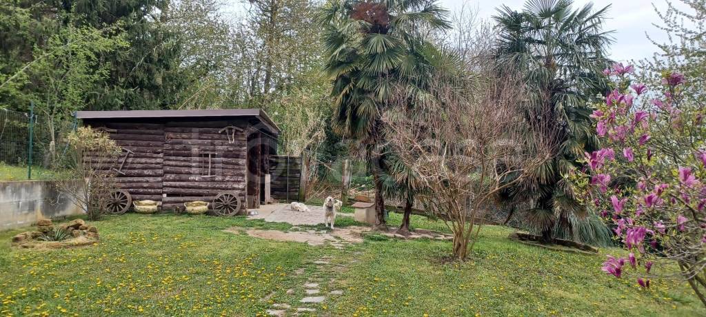 immagine annuncio 10 di 15