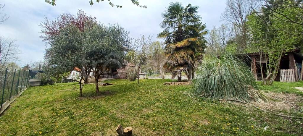 immagine annuncio 12 di 15