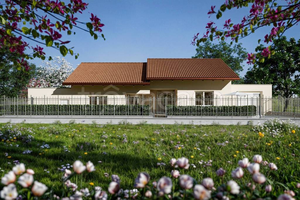 immagine annuncio 6 di 7