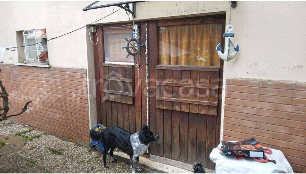 immagine annuncio 6 di 9