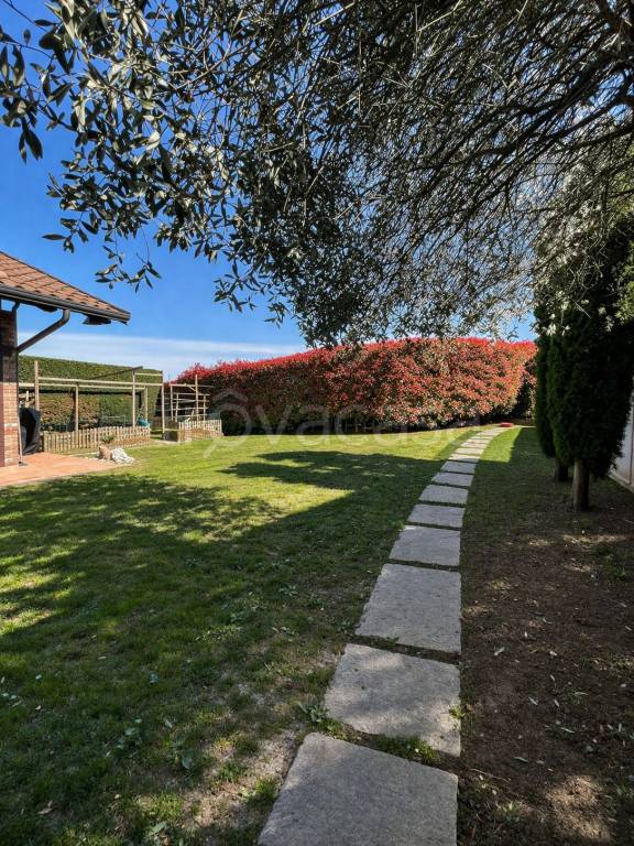 immagine annuncio 6 di 15