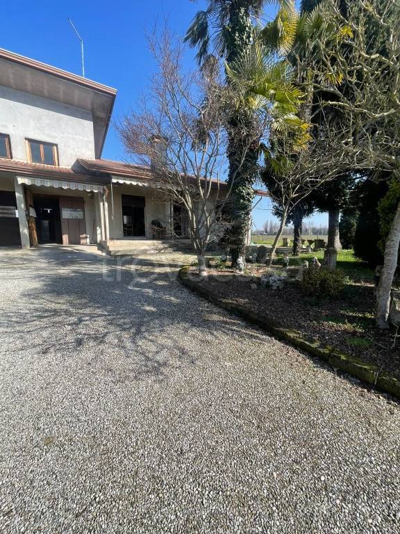 immagine annuncio 6 di 13