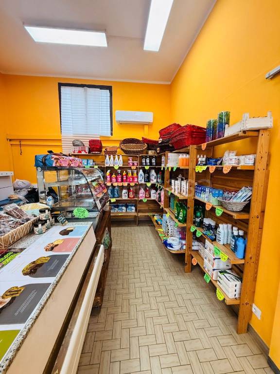 immagine annuncio 2 di 8