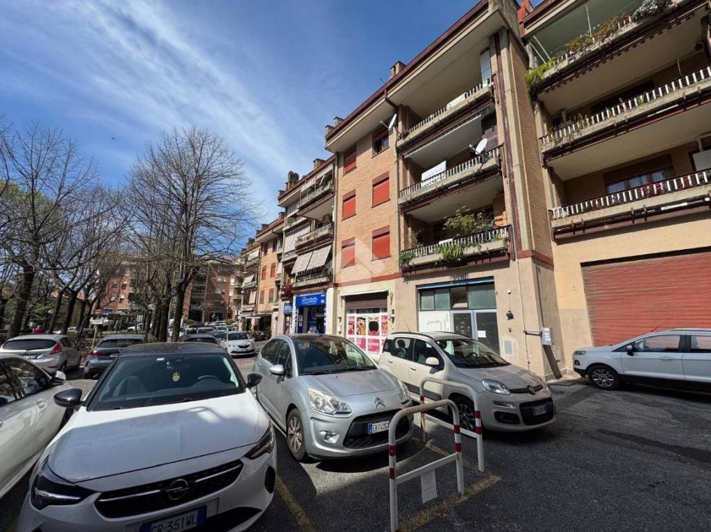 immagine annuncio 6 di 15