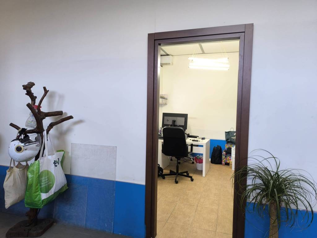 immagine annuncio 3 di 12