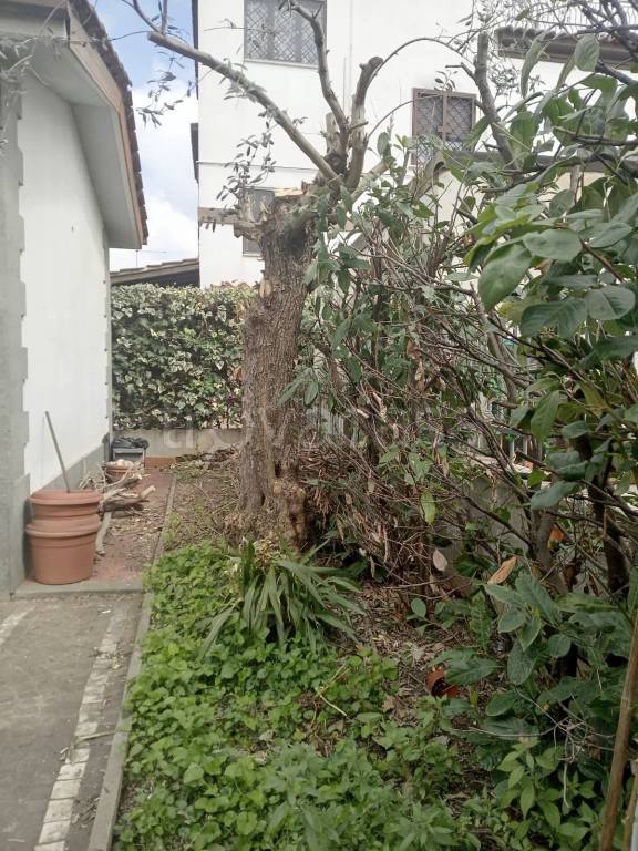 immagine annuncio 2 di 12