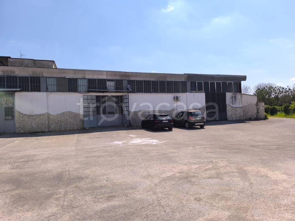 immagine annuncio 10 di 12