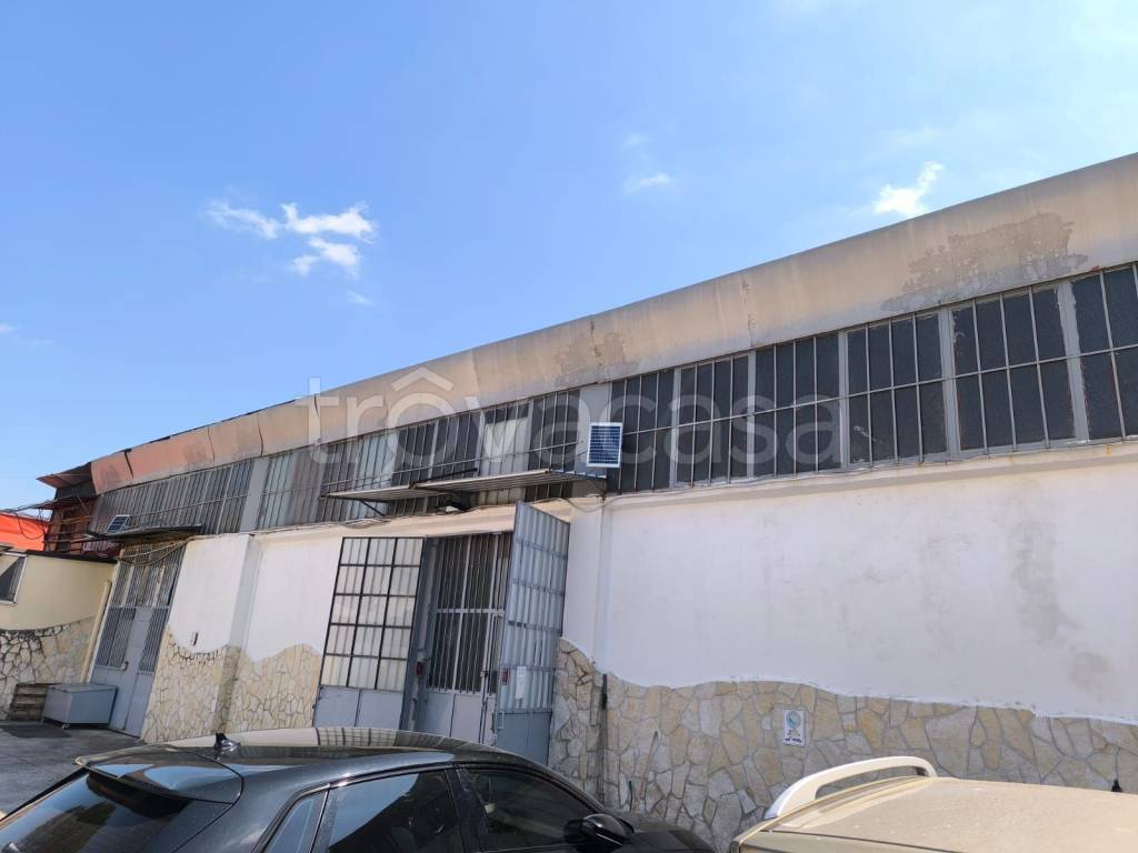 immagine annuncio 11 di 12