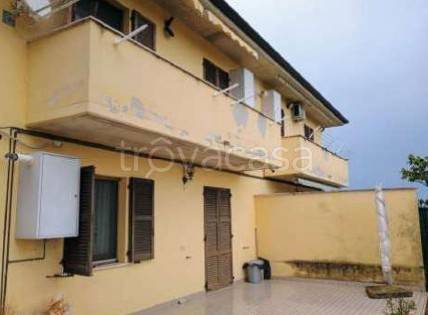 immagine annuncio 3 di 14