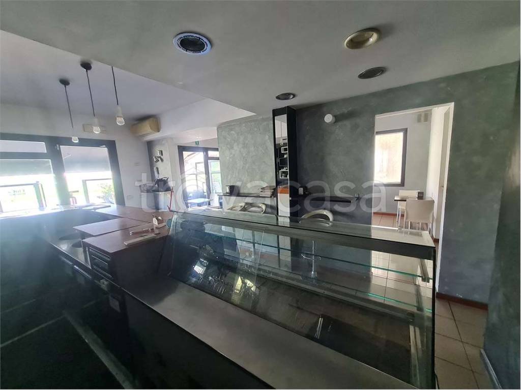 immagine annuncio 5 di 14