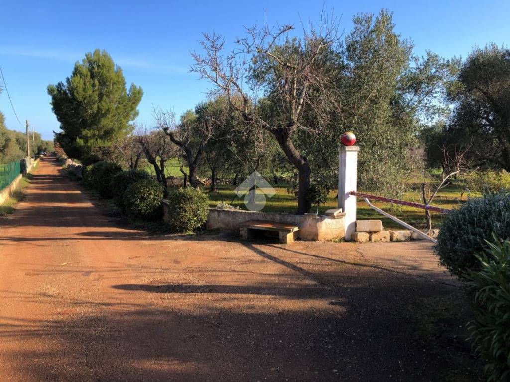 immagine annuncio 3 di 14