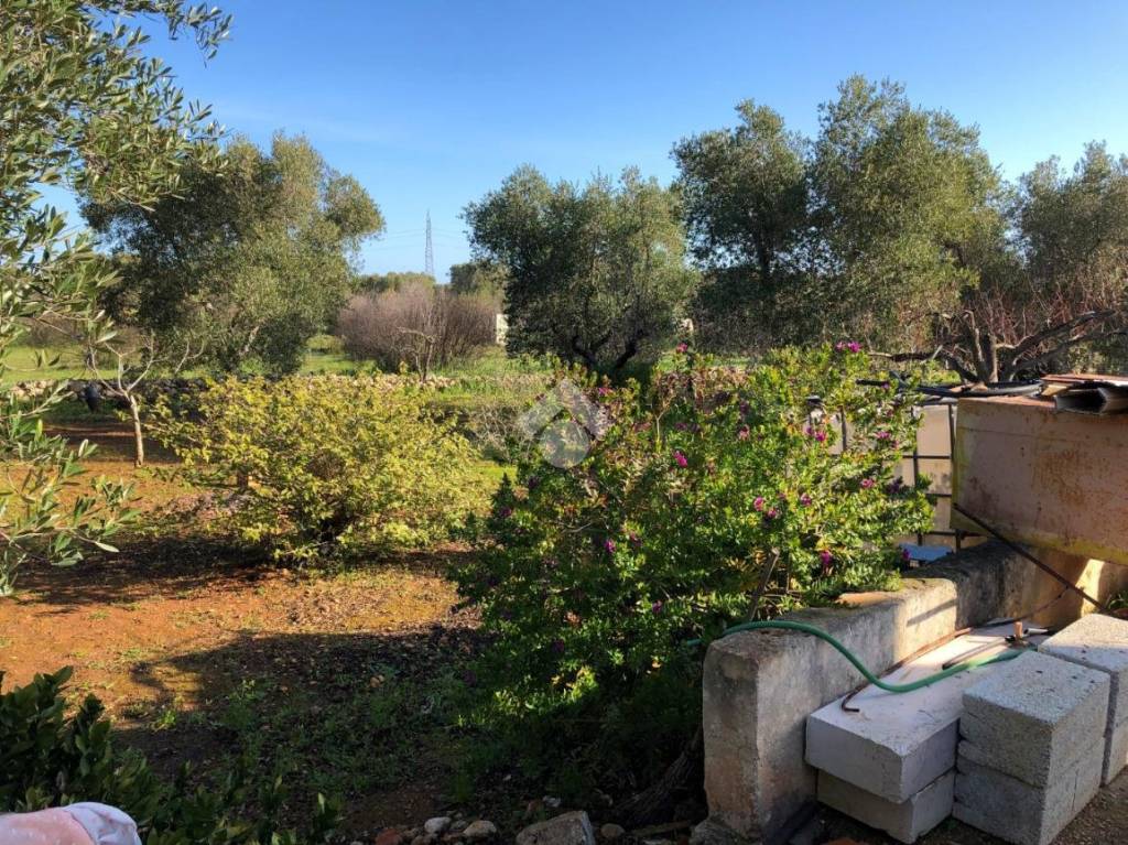 immagine annuncio 4 di 14