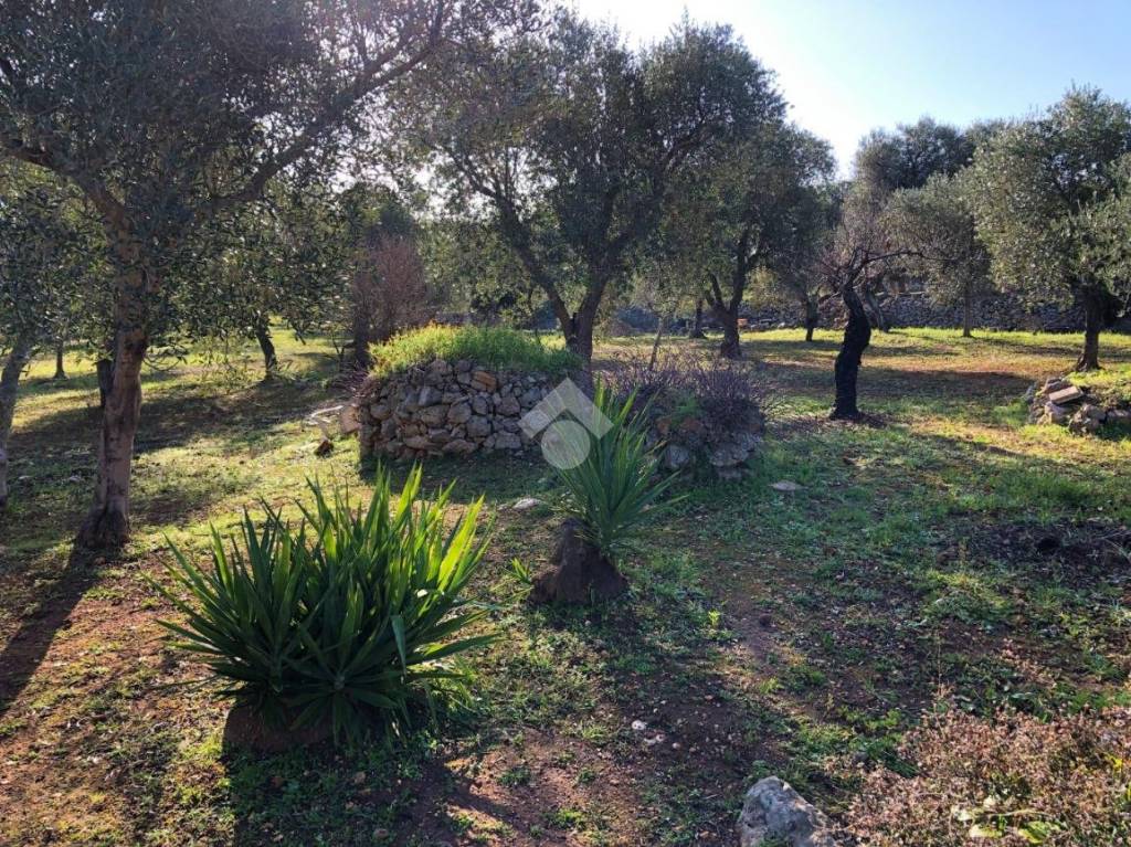 immagine annuncio 5 di 14