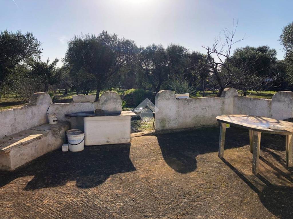 immagine annuncio 6 di 14