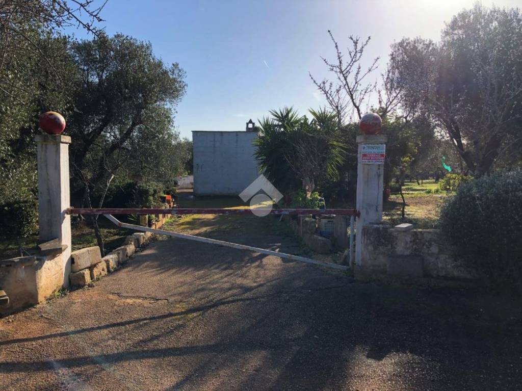 immagine annuncio 7 di 14