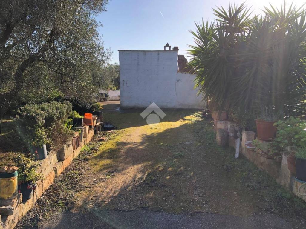 immagine annuncio 9 di 14