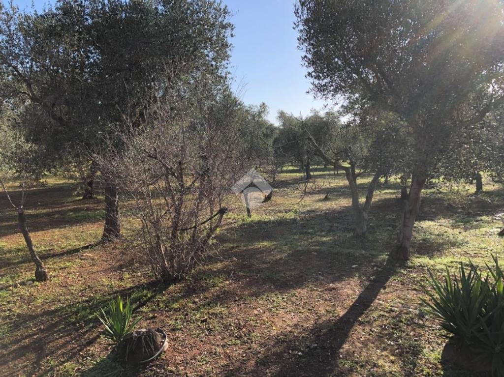 immagine annuncio 10 di 14