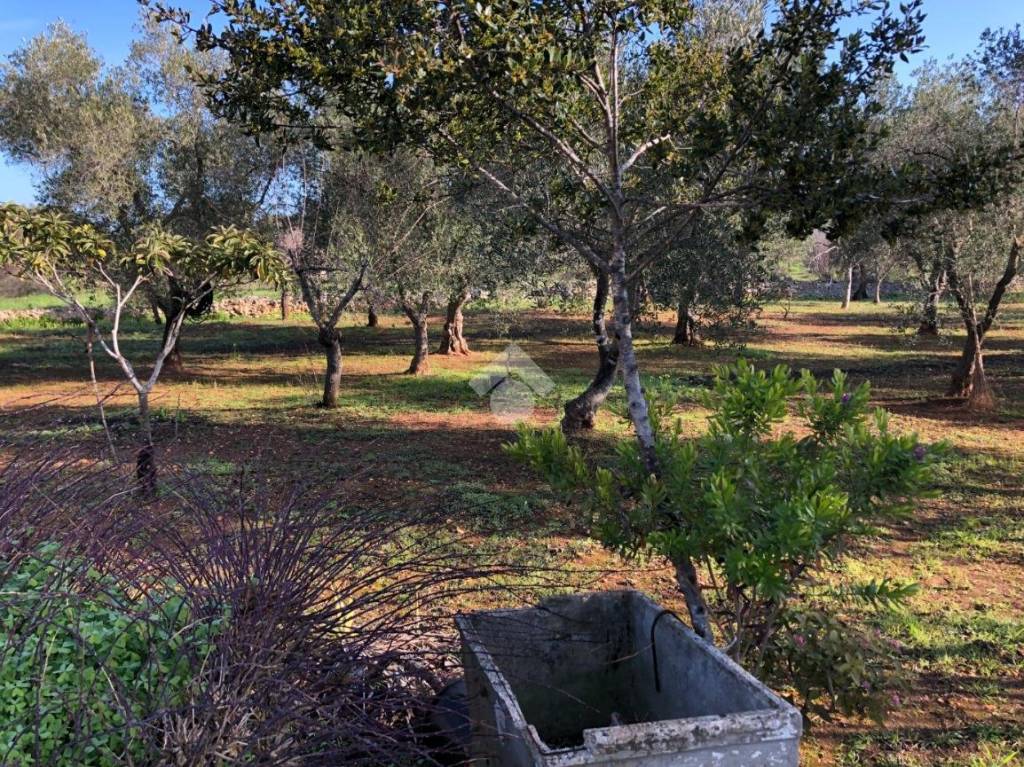 immagine annuncio 11 di 14