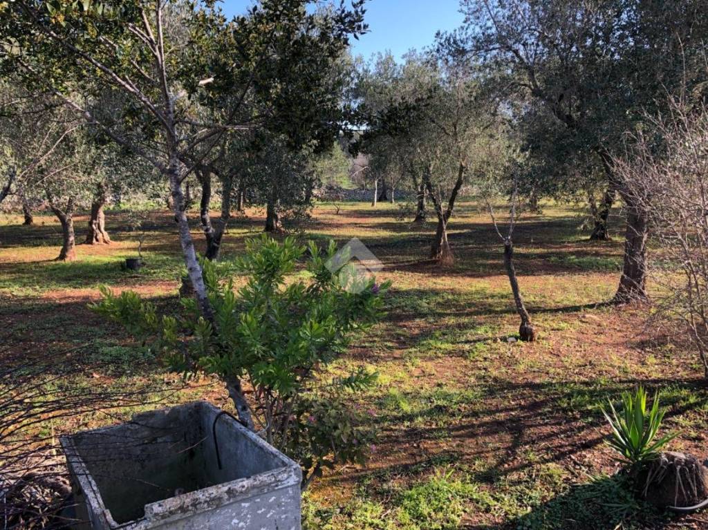 immagine annuncio 12 di 14