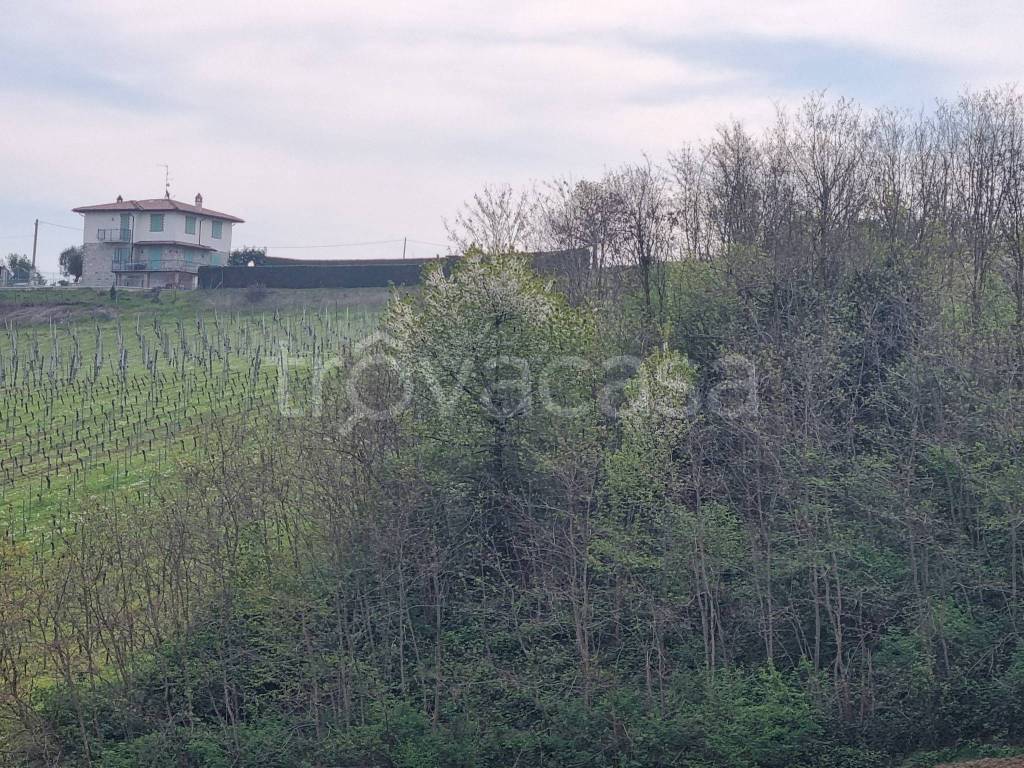 immagine annuncio 5 di 7